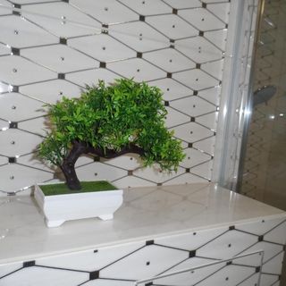 Apartament Dmowskiego - Kępa Mieszczańska Wrocław (4)