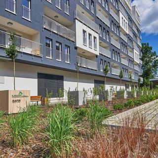 Apartament Dmowskiego - Kępa Mieszczańska Wrocław (5)