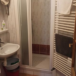 Apartmán u promenád Karlovy Vary (4)