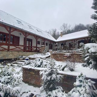 Bauer Teljes Vendégház Hosszúhetény - Püspökszentlászló (4)