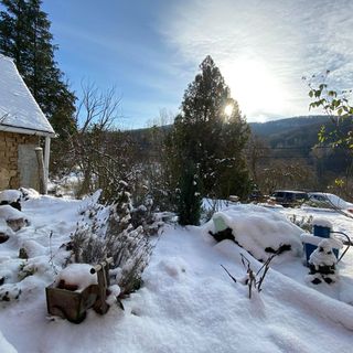Bauer Teljes Vendégház Hosszúhetény - Püspökszentlászló (5)