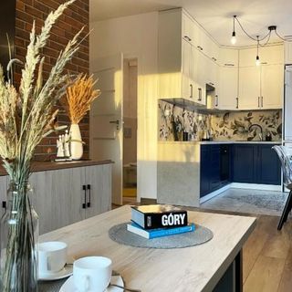 Apartament Błękitne Spa Ustrzyki Dolne (4)