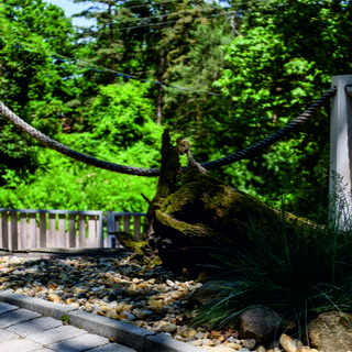 Redibo Erdei Vendégház Kismaros (4)