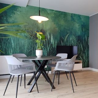 Apartament Triventi 88 z Widokiem na Śnieżkę - 5D Apartamenty Karpacz (4)