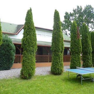 Cabana Szabó Attila Izvoare (4)