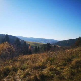 Apartamenty U JANKA Krynica-Zdrój (5)