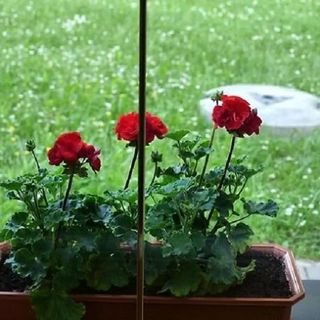 Apartament Dorota Stronie Śląskie (2)