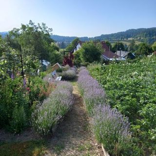 Dom gościnny u Krupów Berezka (3)