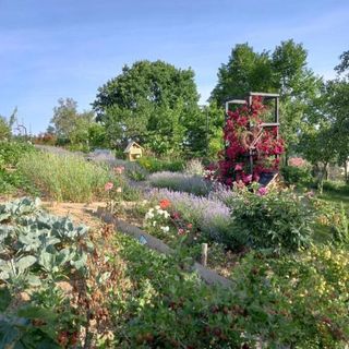 Dom gościnny u Krupów Berezka (4)