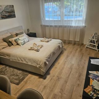 Borisz Apartman Makó (2)