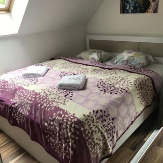 Chata pod skocznią Wisła Malinka (2)