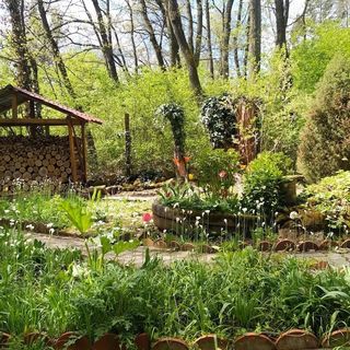 Csuszka Vendégház Kismaros (3)