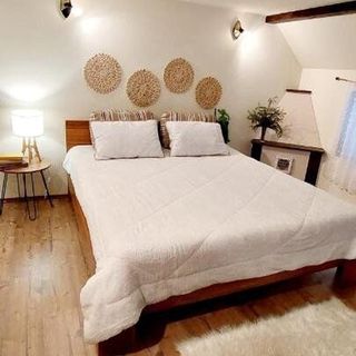 Misha's House Avrig (3)