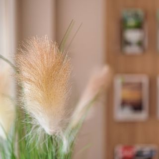 Rácz Vendégház Sopron (3)