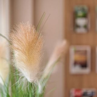 Rácz Vendégház Sopron (3)