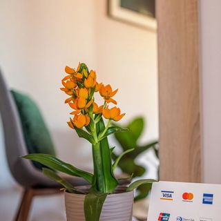 Rácz Vendégház Sopron (4)