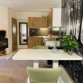 Wonderful Village studio with terrace Rakvice (3)