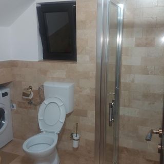 Casa Nova Vișeu de Sus (4)