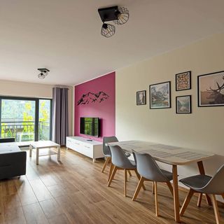 Beskid Apartment Szczyrk (5)