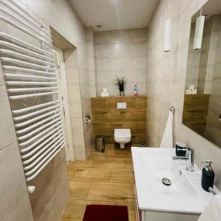 Apartament Gladiator Noclegi Zator II (3)