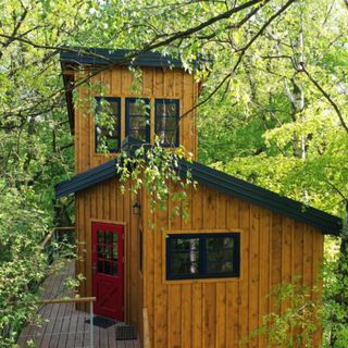 Domek na drzewie Węgiełek Treehouse Kazimierz Dolny (3)