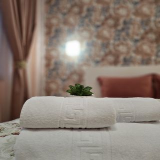 Casa Dintre Brazi Nemțișor (4)