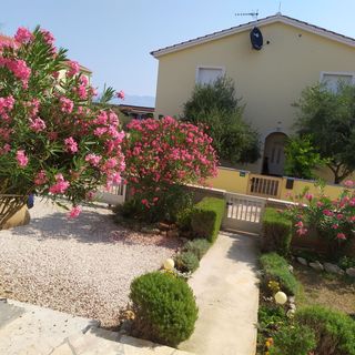 Apartmani Vjeko VIr (4)