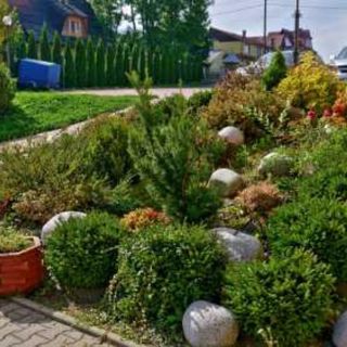 Pokoje U Ziomka 90A (5)