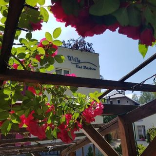 Apartamenty Willa Nad Potokiem Kudowa-Zdrój (2)