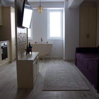 Blue Joy Bukovina Aparthotel Suceava (2)