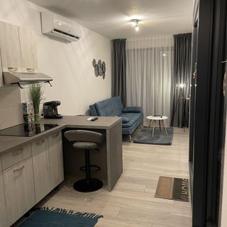 Tiny House by the Forest 1 Borod (5)