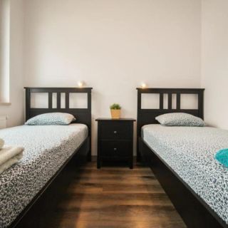 Apartament Lublin Stare Miasto "Wild Cat" (2)