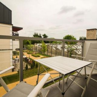 Apartament Lublin Stare Miasto "Wild Cat" (3)