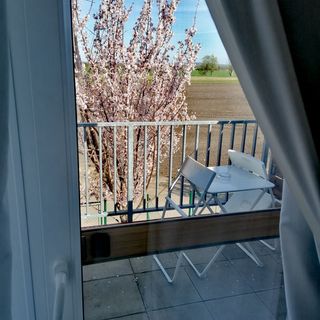 Apartmán Pálava Dolní Dunajovice (4)