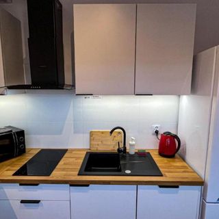 Apartament Lublin Centrum „Ice Cat” (2)