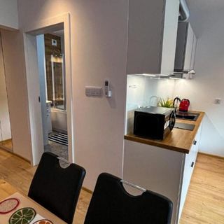 Apartament Lublin Centrum „Bengal Cat” (5)