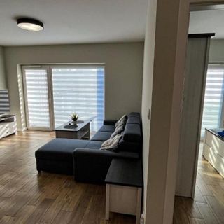 Apartament Lublin Centrum "Singapura cat" (2)