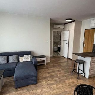 Apartament Lublin Centrum "Singapura cat" (3)