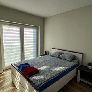 Apartament Lublin Centrum "Singapura cat" (4)