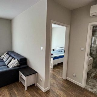 Apartament Lublin Centrum "Singapura cat" (5)
