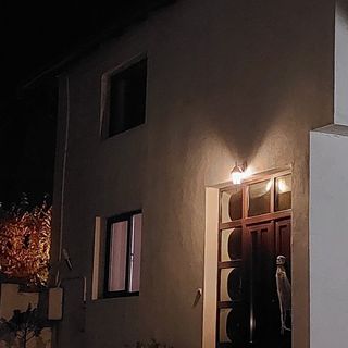 The Black Cat Bran (2)