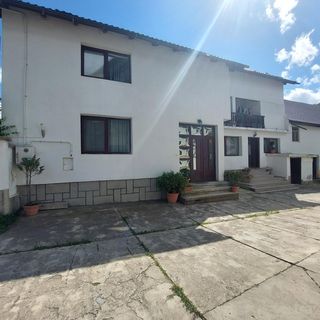 The Black Cat Bran (4)