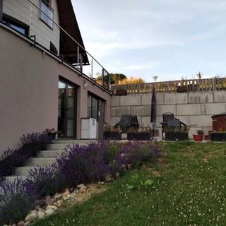 Vila Veles Pucov (2)