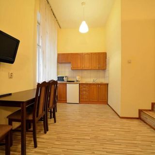 Apartaments Piotrkowska 101 Łódź (3)