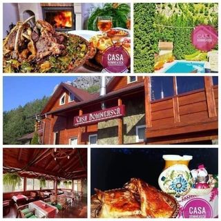 Casa Domnească Baia de Fier (2)