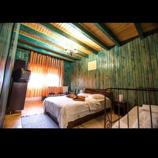 Casa Domnească Baia de Fier (4)