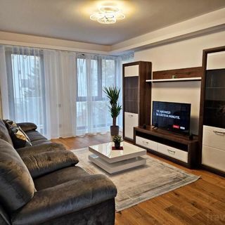 Luxury Apartment București (2)