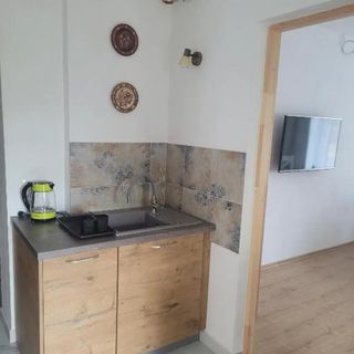 Apartamenty Izerskie Cztery Pory Roku Świeradów-Zdrój (5)