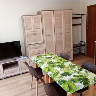 Domek pod Lipą Nienaszów (3)