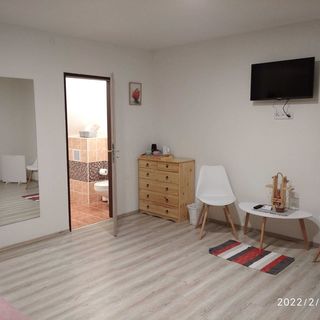 Penzion Tvrz Dub u Tábora Ratibořské Hory (4)